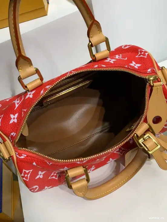 WIS 25 VUITTON  P9 Speedy Bandoulière LOUIS 0515